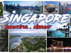 Top 10 Must Visit Tourist Attractions in Singapore