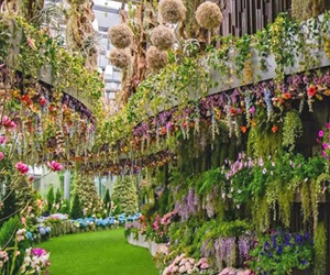 Flora Fantasy