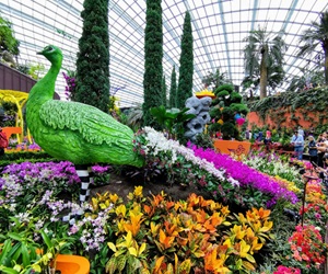 Flower Dome