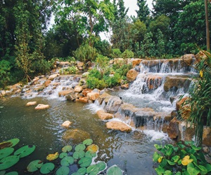 Kingfisher Wetlands