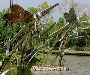 Dragonfly & Kingfisher Lakes