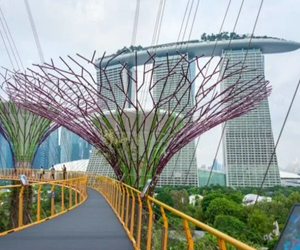 OCBC Skyway