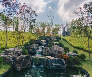 Serene Garden