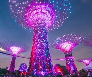 Supertree Observatory