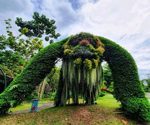 World of Plants
